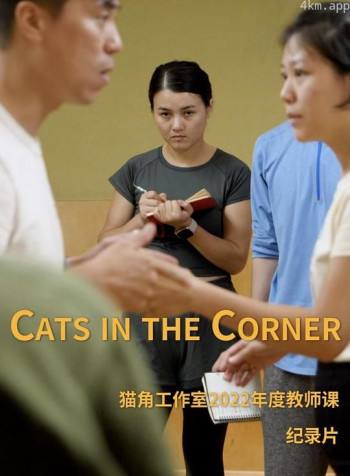Cats in the Corner