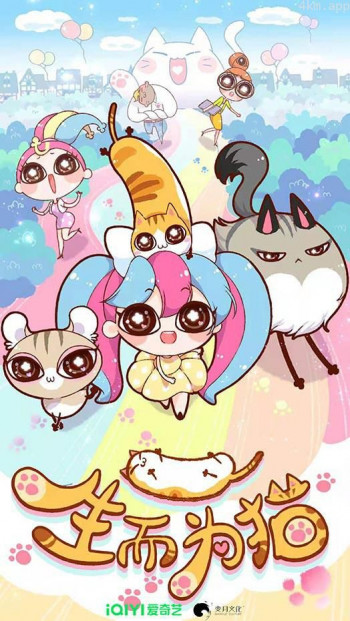 生而为猫