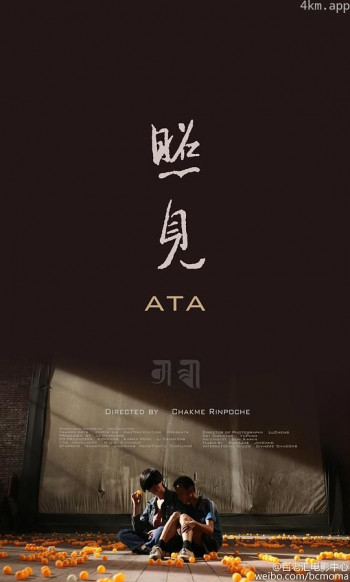 照见