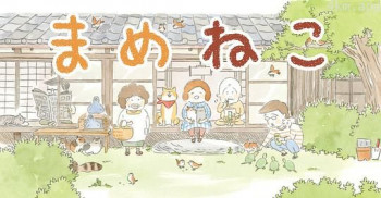 豆豆猫