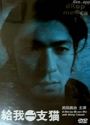 给我一支猫