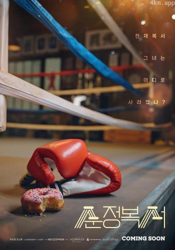纯情拳击手