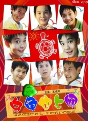 乌龟也上网