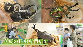 ドキュメント72時間:真夏の昆虫専門店で
