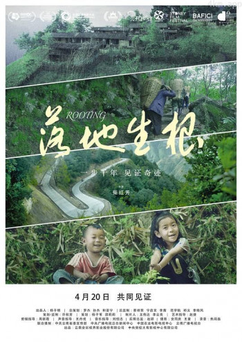 落地生根