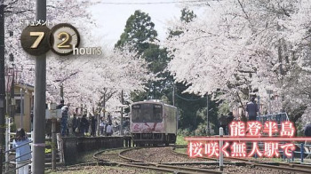 纪实72小时 能登半岛·樱花盛放的无人车站