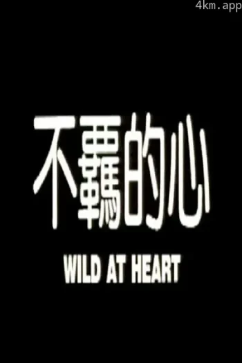 不羁的心
