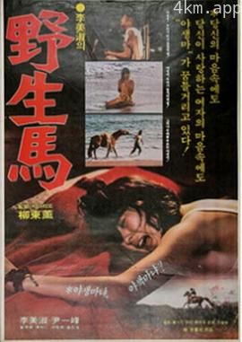 野生馬