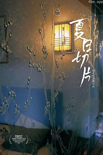 夏日切片