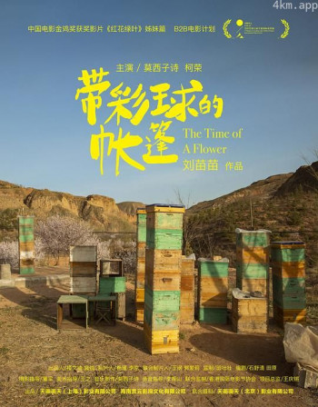 带彩球的帐篷