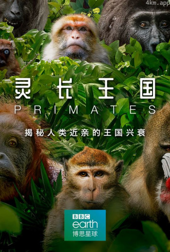 灵长王国 中文版