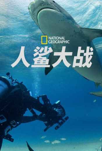对战鲨鱼