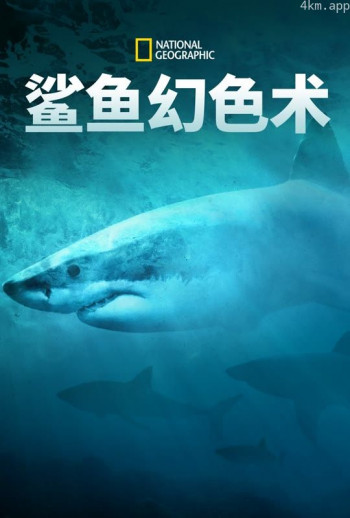 鲨鱼幻色术