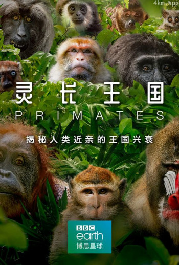 灵长王国