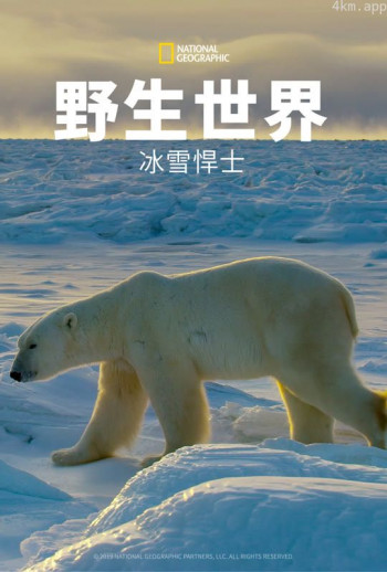 野生世界:冰雪悍士