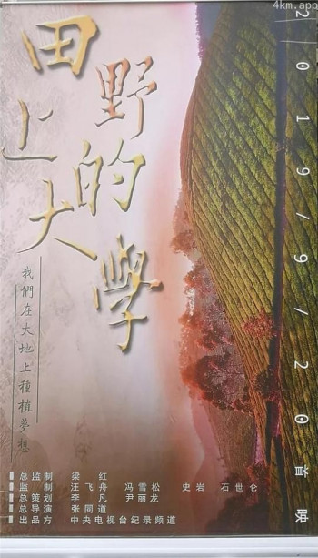 田野上的大学