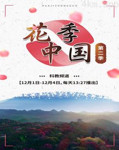 花季中国 第二季