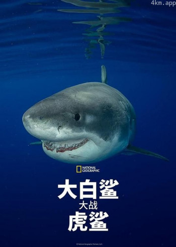 大白鲨大战虎鲨