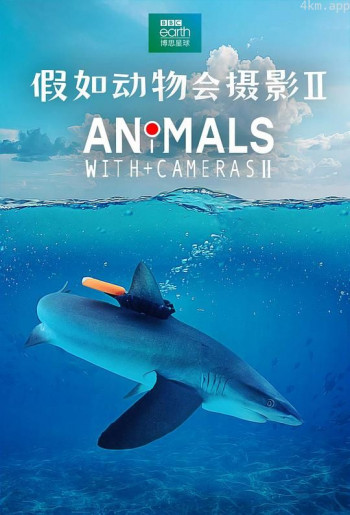 假如动物会摄影 II