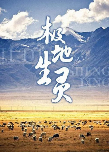 极地生灵