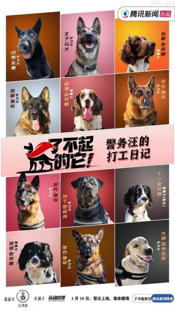 了不起的它