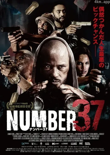 37号