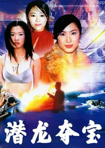 潜龙夺宝(2000)