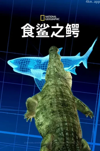 食鲨之鳄