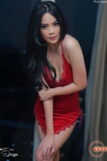 性感秘书