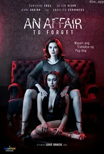 风流韵事 An Affair to Forget