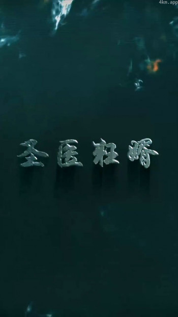 圣衣狂婿