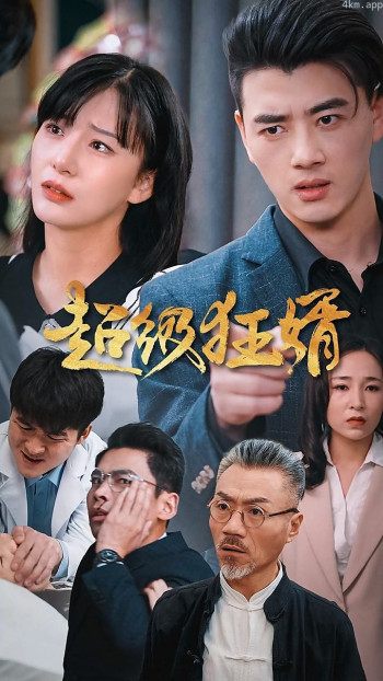 超级狂婿