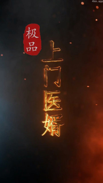 极品上门医婿
