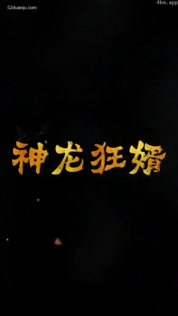 神龙狂婿合集版