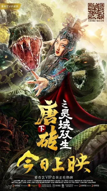 唐砖下灵域双生