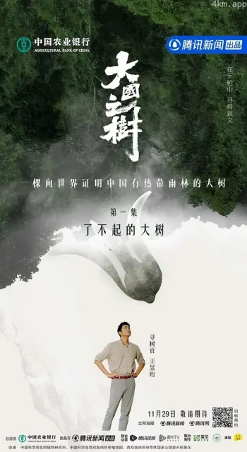 大国之树