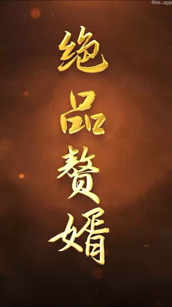 绝品赘婿