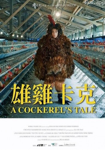 雄鸡卡克