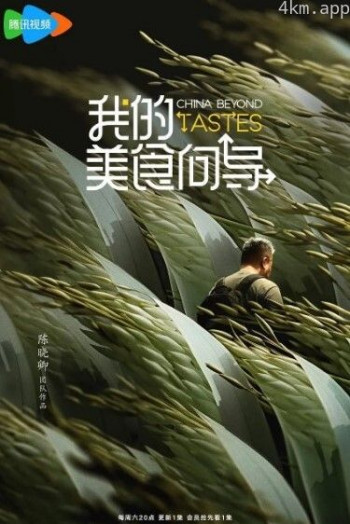 我的美食向导