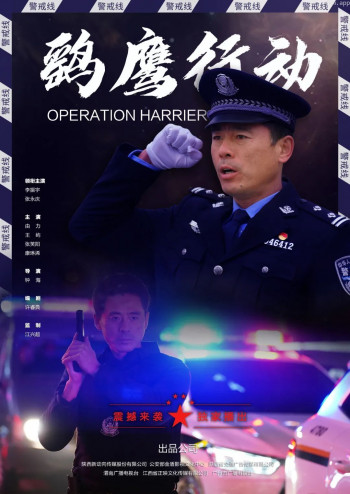 鹞鹰行动