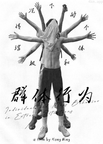 极端情况下的个体和群体行为