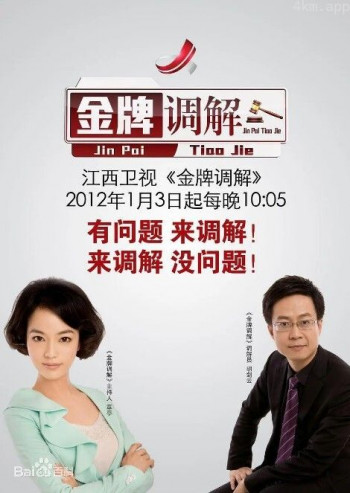 金牌调解2024