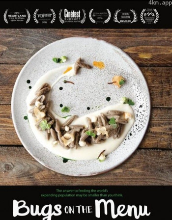菜单上的错误