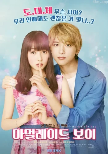 橘子酱男孩