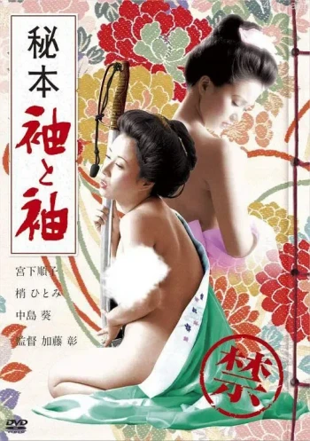 秘本袖与袖