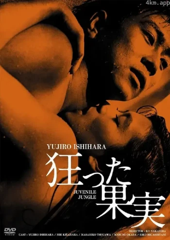 疯狂的果实1956
