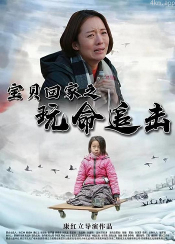 宝贝回家之玩命追击