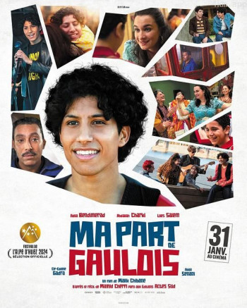 Ma Part De Gaulois