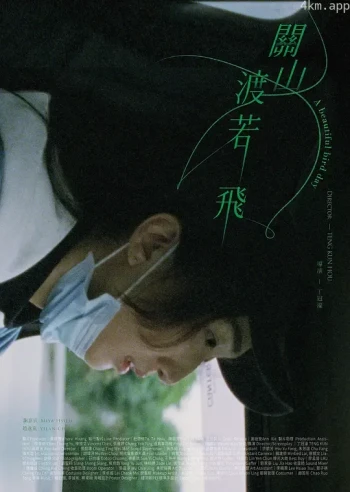 关山度若飞