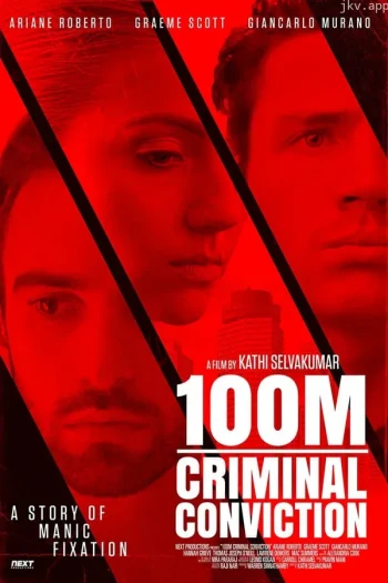 100M 刑事定罪